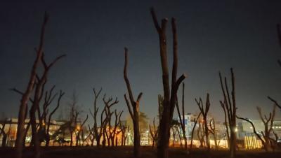 Прикрепленное изображение: 111.jpg